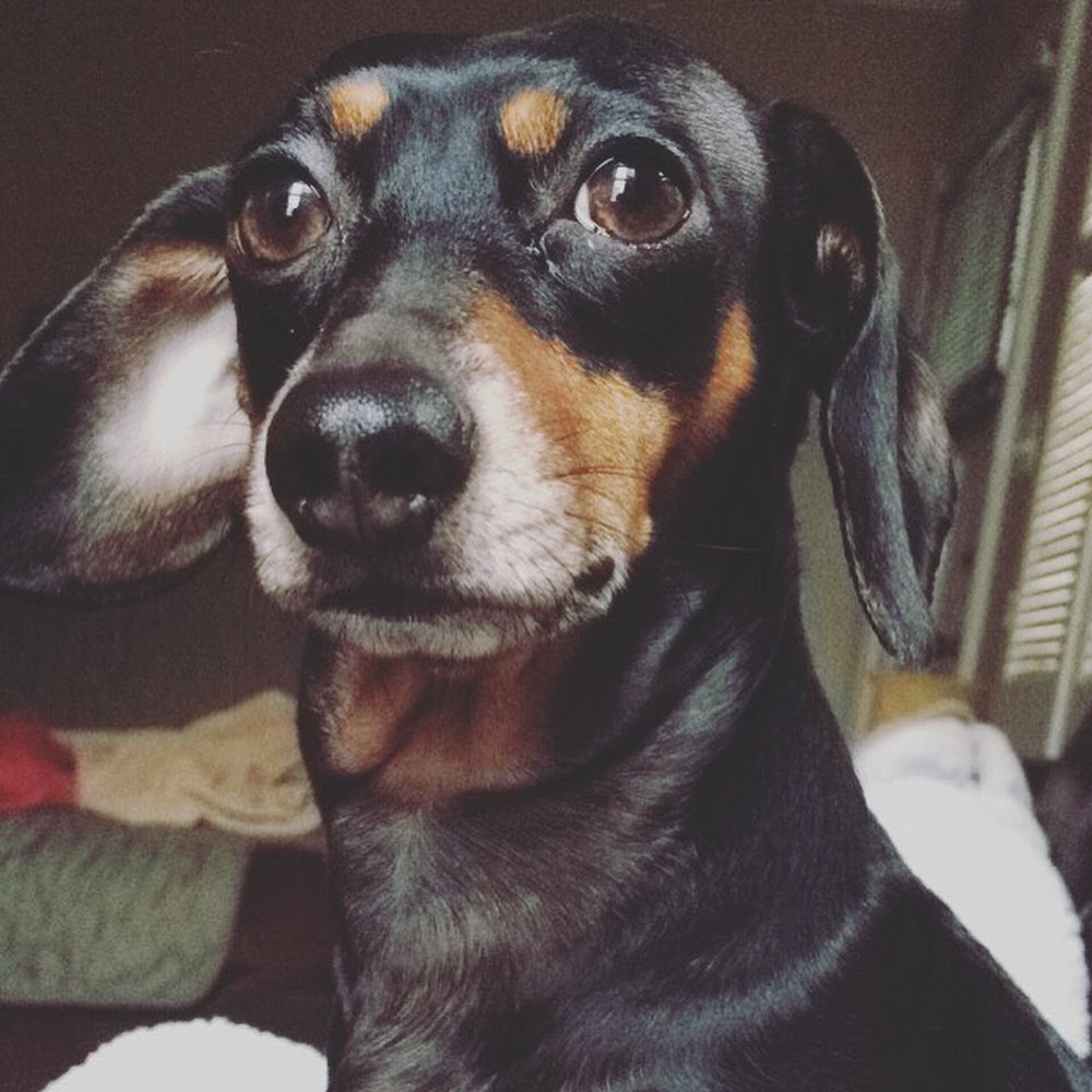 Meet your Posher, Alicia